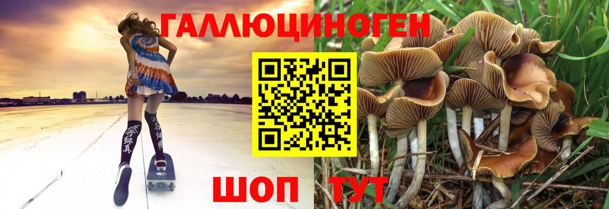 Псилоцибиновые грибы ЛСД  Вход с VPN  Ставрополь 